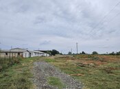 Elan №5930259 - Beyləqan, Beyləqan, 3000 sot