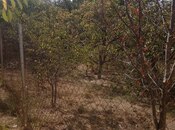 Продаётся  участок 6 сот, пос. Бинагади, photo 7 from 7