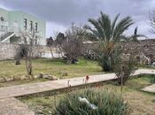 Elan №5930355 - Bakı, Şağan q., 4 sot