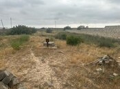 Satılır  torpaq 25 sot, Sabunçu r., photo 3 from 3
