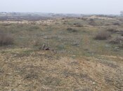 Продаётся  участок 25 сот, пос. Кюрдаханы, photo 5 from 6