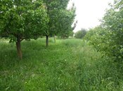 Satılır  torpaq 10 sot, photo 2 from 6