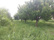 Satılır  torpaq 10 sot, photo 5 from 6