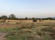 Elan №5930619 - Lənkəran, Lənkəran, 400 sot