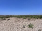 Satılır  torpaq 12 sot, Türkan q., photo 8 from 8