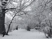 Продаётся 5-комн. дом/дача 108 м², photo 6 from 8