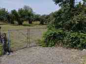 Объявление №5930721 - Габала, Габала, 30 сот