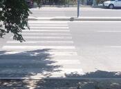 Сдаётся  объект 90 м², м. Мемар Аджеми, photo 6 from 8