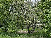 Elan №5931243 - Gəncə, Gəncə, 31 sot