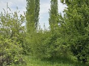 Satılır  torpaq 31 sot, photo 2 from 6