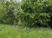 Satılır  torpaq 31 sot, photo 6 from 6