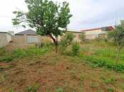 Satılır 1 otaqlı həyət evi/bağ evi 60 m², photo 8 from 8