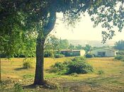 Продаётся  участок 550 сот, photo 5 from 6