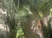 Продаётся 6-комн. дом/дача 170 м², м. Сахил, photo 4 from 8