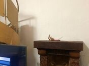 Продаётся 6-комн. дом/дача 170 м², м. Сахил, photo 6 from 8