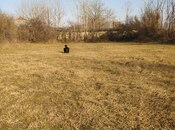 Elan №5932426 - Saatlı, Saatlı, 15 sot