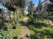 Satılır 5 otaqlı həyət evi/bağ evi 151.7 m², Badamdar q., photo 8 from 8