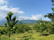 Elan №5933022 - İsmayıllı, İsmayıllı, 2 sot