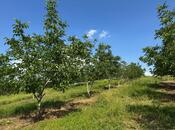 Продаётся  участок 2 сот, photo 4 from 8