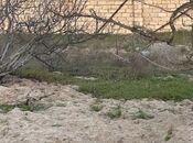 Продаётся  участок 2 сот, пос. Новханы, photo 2 from 5