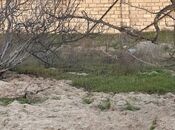 Продаётся  участок 2 сот, пос. Новханы, photo 4 from 5