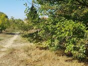 Satılır 5 otaqlı həyət evi/bağ evi 250 m², Binəqədi q., photo 4 from 8