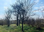 Satılır 6 otaqlı həyət evi/bağ evi 200 m², photo 8 from 8