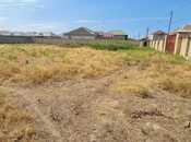 Объявление №5933406 - Баку, пос. Мамедли, 17 сот