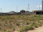 Продаётся  участок 40 сот, Пираллахи р., photo 5 from 8