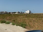 Продаётся  участок 40 сот, Пираллахи р., photo 6 from 8