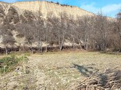 Объявление №5933502 - Гусар, Гусар, 10 сот