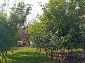 Продаётся 3-комн. дом/дача 140 м², photo 4 from 5