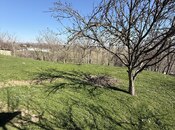 Продаётся 3-комн. дом/дача 51 м², photo 5 from 8