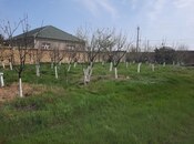 Объявление №5933754 - Баку, пос. Горадил, 16 сот