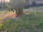 Satılır  torpaq 10 sot, photo 5 from 5