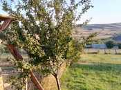 Satılır  torpaq 10 sot, photo 3 from 5