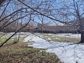 Satılır  torpaq 15 sot, photo 2 from 8