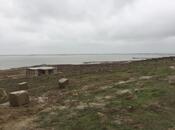 Продаётся  участок 100 сот, Пираллахи р., photo 2 from 8