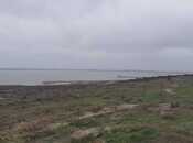 Продаётся  участок 100 сот, Пираллахи р., photo 7 from 8