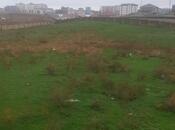 Elan №5934587 - Bakı, Saray q., 60 sot