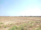 Elan №5934751 - Bakı, Xəzər r., 17 sot