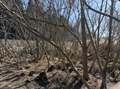 Продаётся  участок 20 сот, пос. Бадамдар, photo 4 from 7