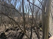 Продаётся  участок 20 сот, пос. Бадамдар, photo 3 from 7