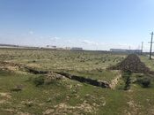 Satılır  torpaq 450 sot, Abşeron r., photo 3 from 8