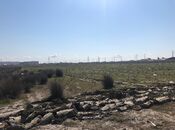 Satılır  torpaq 450 sot, Abşeron r., photo 4 from 8
