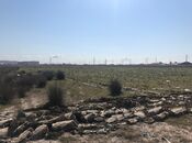 Satılır  torpaq 450 sot, Abşeron r., photo 6 from 8