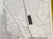 Satılır  torpaq 450 sot, Abşeron r., photo 8 from 8