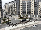 Satılır 4 otaqlı yeni tikili 180 m², Ağ şəhər q., photo 2 from 8