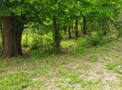 Satılır  torpaq 20 sot, photo 2 from 7