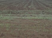 Объявление №5935805 - Гусар, Гусар, 180 сот